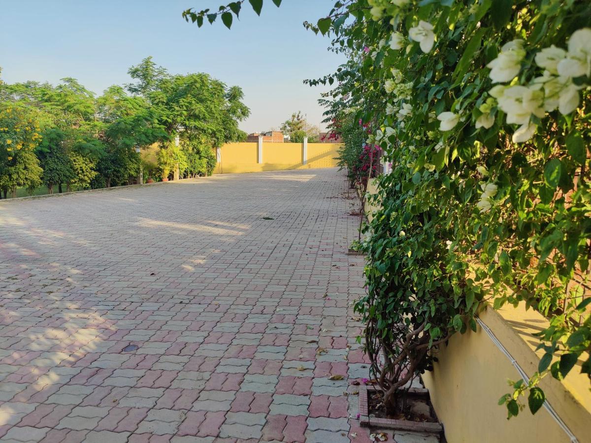 Brick Field — Photos 3